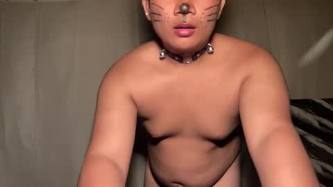 DA online show from April 2026 03:56:01 PM