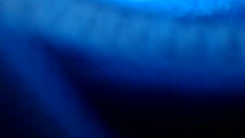 urasian_pinayjessaxxx online show from July 2026 07:13:01 AM