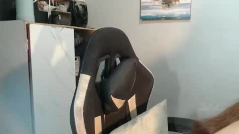 Snapshot of urasianfuckprincessxxx chatting on January 2025 09:59:01 PM urasianfuckprincessxxx online show from January 2025 09:59:01 PM