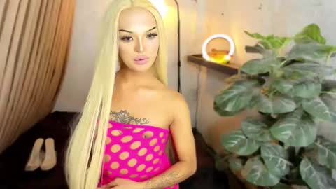 jhaii online show from October 2025 06:41:02 PM