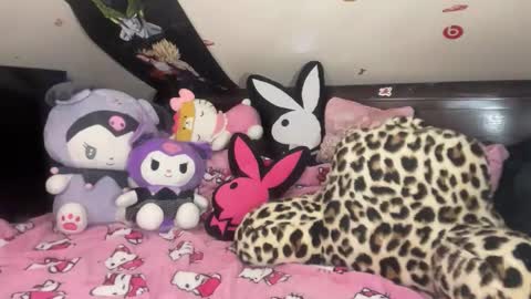 urlittlekittylana online show from January 2026 03:23:02 AM