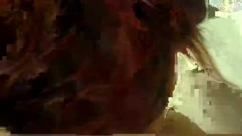 Aniie online show from January 2026 05:12:01 AM