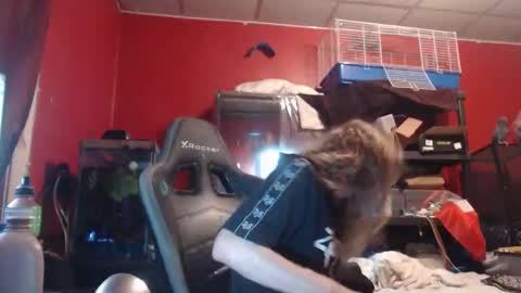 Snapshot of ustogetherliveee chatting on November 2025 06:03:01 AM ustogetherliveee online show from November 2025 06:03:01 AM