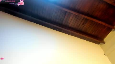 Snapshot of vahiolet_fuentes chatting on May 2026 03:11:02 AM vahioleth online show from May 2026 03:11:02 AM