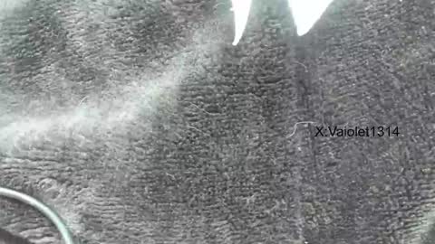 Vaiolet1314 online show from January 2025 03:58:01 PM