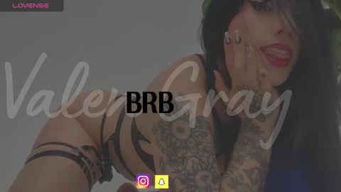 Snapshot of valengray chatting on January 2025 12:42:01 PM Valen online show from January 2025 12:42:01 PM