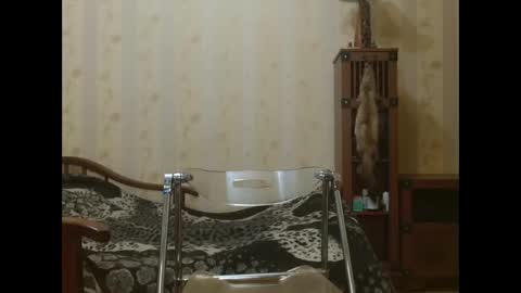 valentijm online show from April 2026 06:22:01 PM