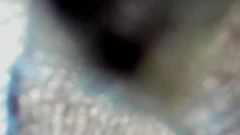 valeri_tafur online show from October 2025 10:59:02 AM