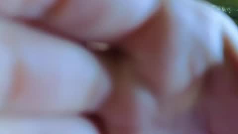 Snapshot of valeriaa_s chatting on June 2026 11:57:01 AM valeriaa_s online show from June 2026 11:57:01 AM