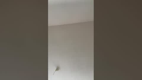 valerianleclercq2025 online show from February 2026 04:07:02 PM