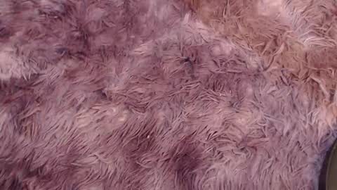 valery carter01 online show from February 2026 02:53:01 AM