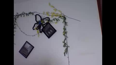 Snapshot of valery_honey_ chatting on June 2026 01:18:01 AM valery_honey_ online show from June 2026 01:18:01 AM