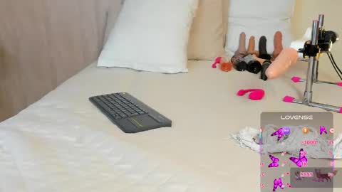 V A N E  online show from April 2026 02:45:02 AM