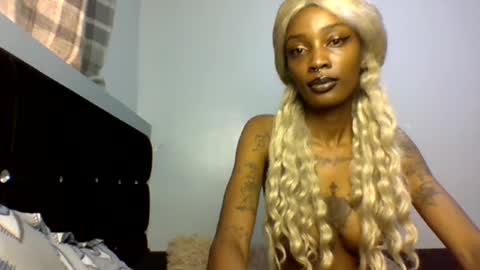 Luma online show from March 2026 09:02:02 AM