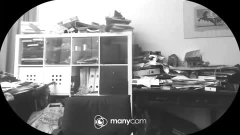 vejun2025 online show from September 2025 07:47:01 PM