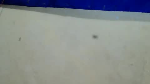 Snapshot of velvetrain69 chatting on December 2024 08:25:02 AM velvet online show from December 2024 08:25:02 AM