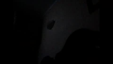 ven1977 online show from October 2025 10:47:01 PM