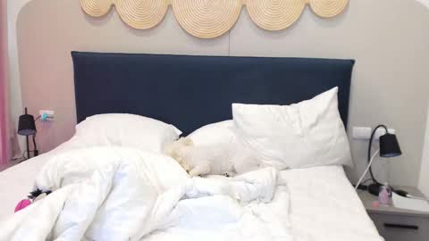 Violetta  online show from December 2025 03:23:01 AM