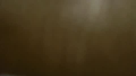 CHLOE the C  L are silent online show from December 2024 02:38:02 PM
