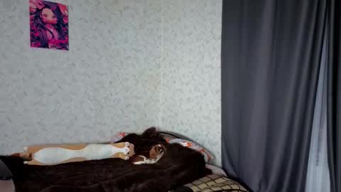 Veronica online show from March 2026 09:10:01 PM