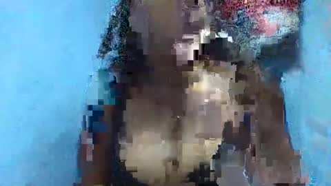 Snapshot of verolla31 chatting on February 2025 08:08:02 PM verolla31 online show from February 2025 08:08:02 PM