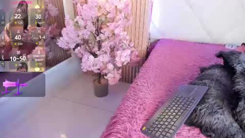 Snapshot of veronica_hill_ chatting on June 2026 03:05:01 AM veronica_hill_ online show from June 2026 03:05:01 AM