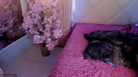 Snapshot of veronica_hill_ chatting on July 2026 02:57:02 AM veronica_hill_ online show from July 2026 02:57:02 AM