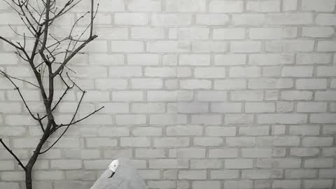 Ana online show from February 2025 02:34:02 PM