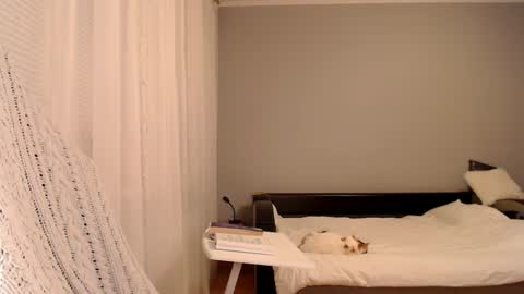 Amelia online show from February 2025 05:09:01 PM