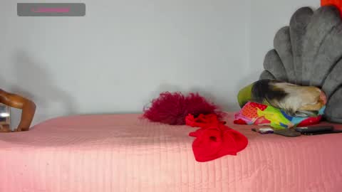 vicky manuela online show from May 2026 08:30:02 AM