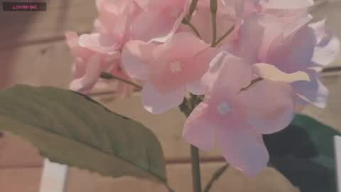 vickyvalencia2 online show from July 2026 12:25:02 AM
