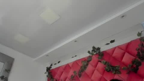 Snapshot of victoriawills_ chatting on March 2025 11:44:02 PM ADRIANA online show from March 2025 11:44:02 PM