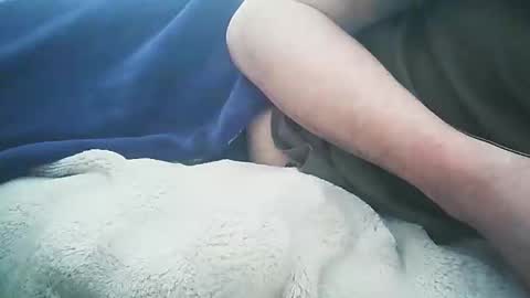 vicvictoree online show from February 2026 01:39:02 PM