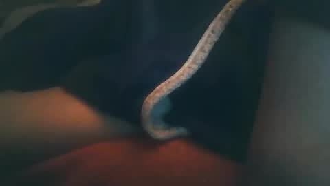 vicvictoree online show from February 2026 10:41:02 PM