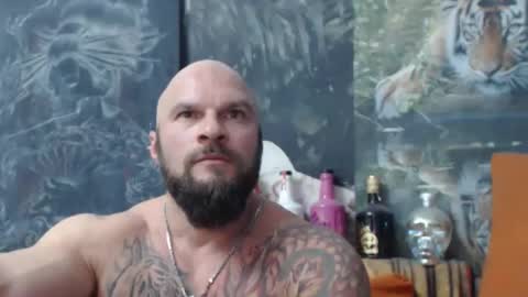 viking online show from October 2025 08:32:01 PM