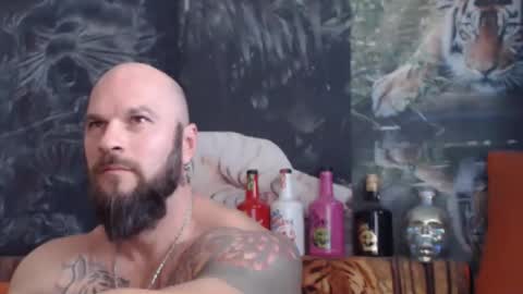 viking online show from November 2025 08:02:02 AM