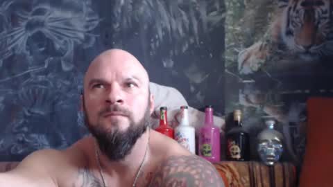 viking online show from November 2025 07:19:01 AM