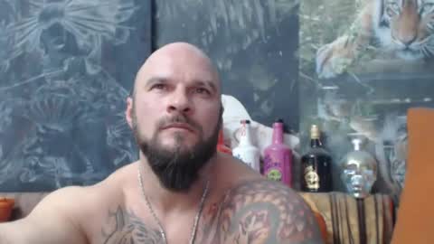 viking online show from November 2025 07:12:01 PM