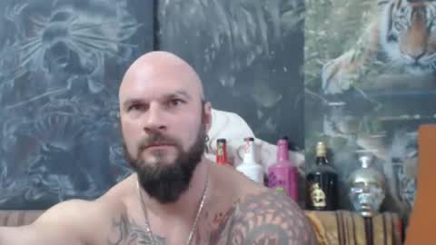 viking online show from November 2025 08:06:02 AM