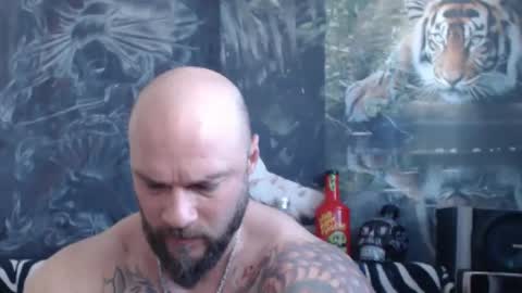 viking online show from April 2026 06:07:01 AM