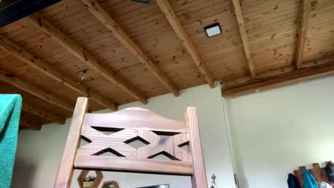 Viking Independent model online show from February 2026 09:34:01 PM