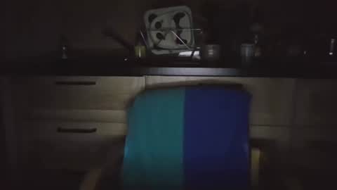 Snapshot of viktor26a chatting on March 2025 09:48:02 PM Victor online show from March 2025 09:48:02 PM