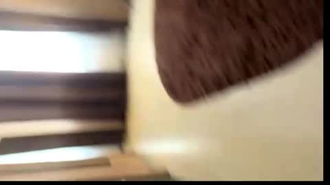 Snapshot of viktoriya_kreyzi chatting on May 2026 03:41:02 PM viktoriya_kreyzi online show from May 2026 03:41:02 PM