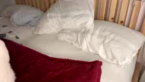 Snapshot of vince_hotgr chatting on February 2025 10:23:02 PM Vince online show from February 2025 10:23:02 PM