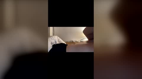 Snapshot of vincgito chatting on December 2025 09:49:01 AM Vinccce online show from December 2025 09:49:01 AM