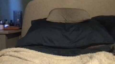 Vinny online show from March 2025 11:00:02 AM