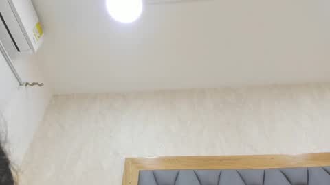 Snapshot of violeet_gray chatting on February 2025 11:41:01 AM violeet_gray online show from February 2025 11:41:01 AM