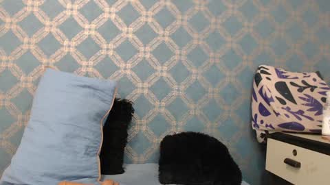 Snapshot of violeta_cute18 chatting on December 2024 01:15:02 AM Violeta online show from December 2024 01:15:02 AM