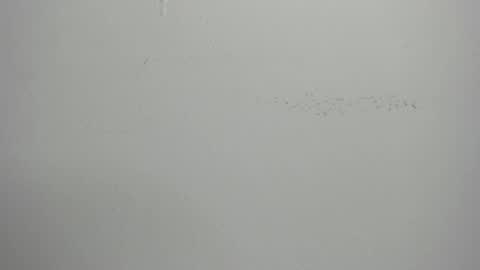 violett_24_ online show from March 2025 11:39:02 AM