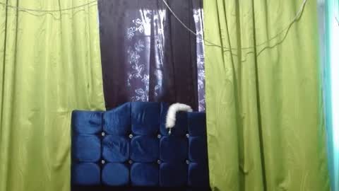 Snapshot of violetta_dreams chatting on July 2026 07:24:01 PM violetta_dreams online show from July 2026 07:24:01 PM